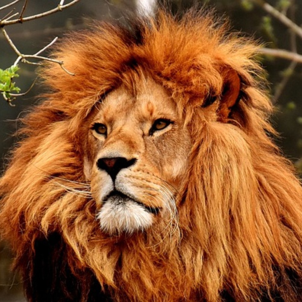 Meet your Posher, Felicia